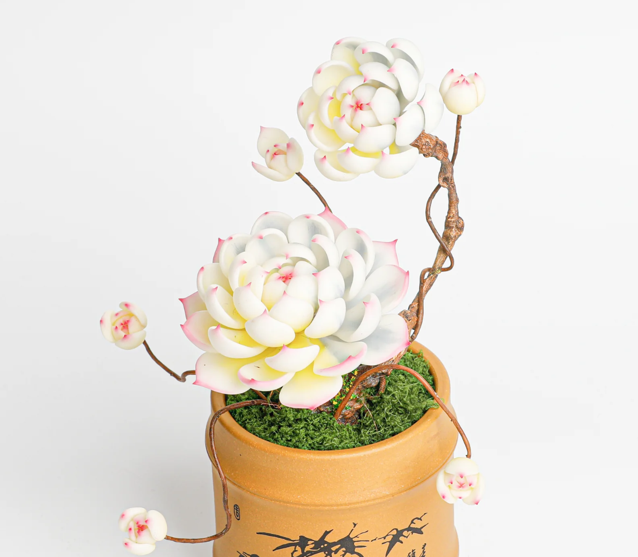 Multi-Head Succulent