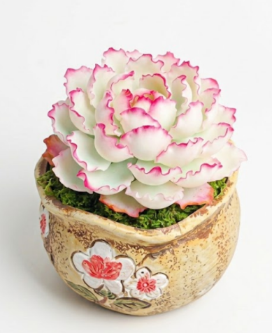 Berkeley Variegated
