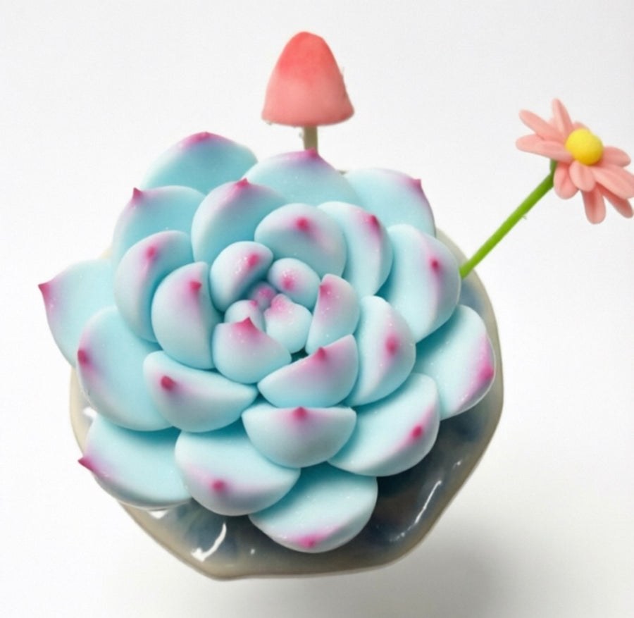Topsy Turvy