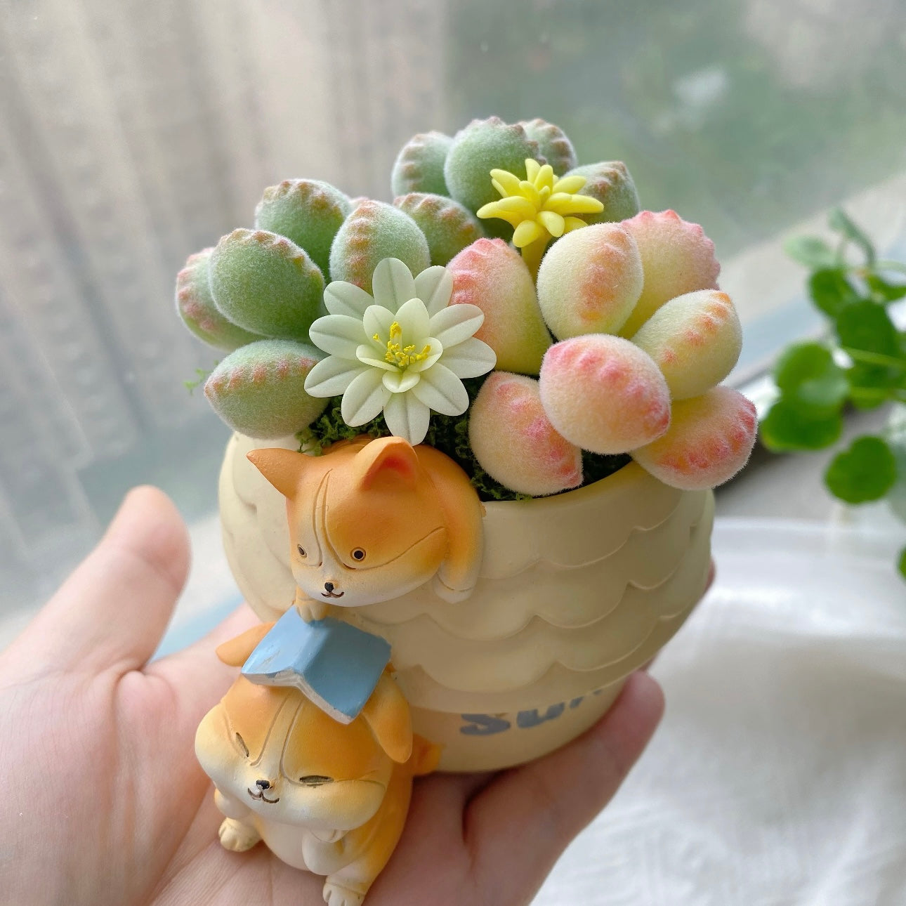 Cluster / Bouquet