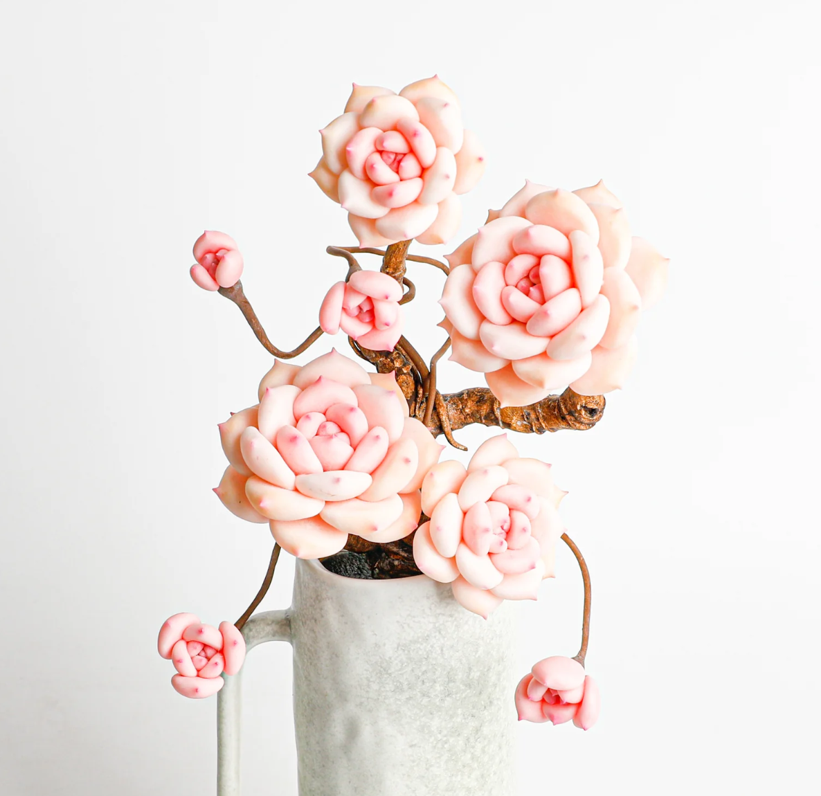 Multi-Head Succulent